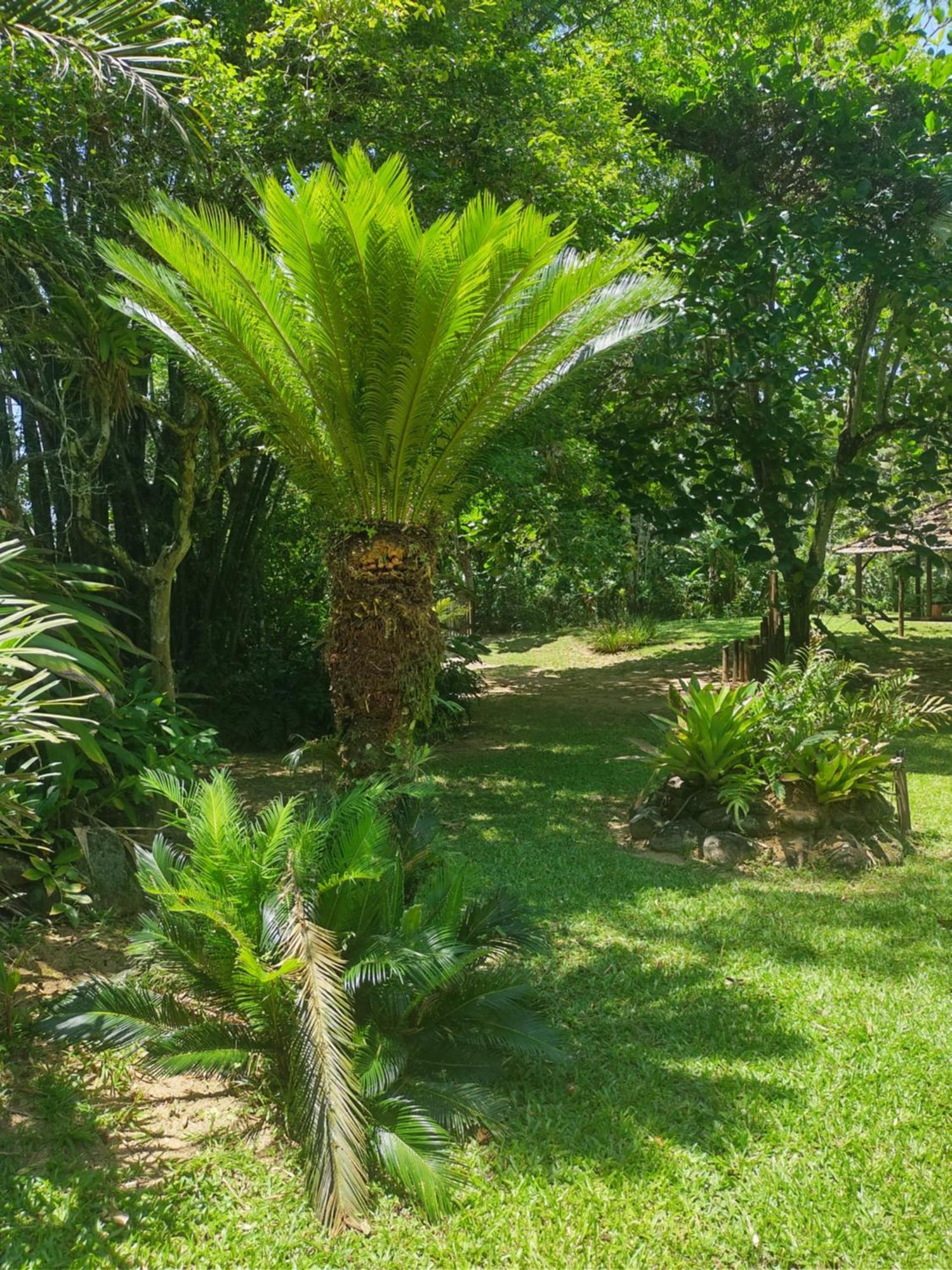 Apartament Flats Do Felix Ubatuba Zewnętrze zdjęcie